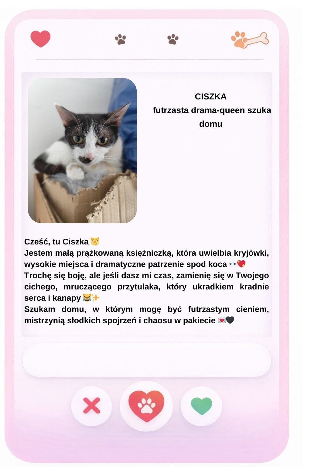 Walentynki w schronisku Psitulmnie w Zabrzu