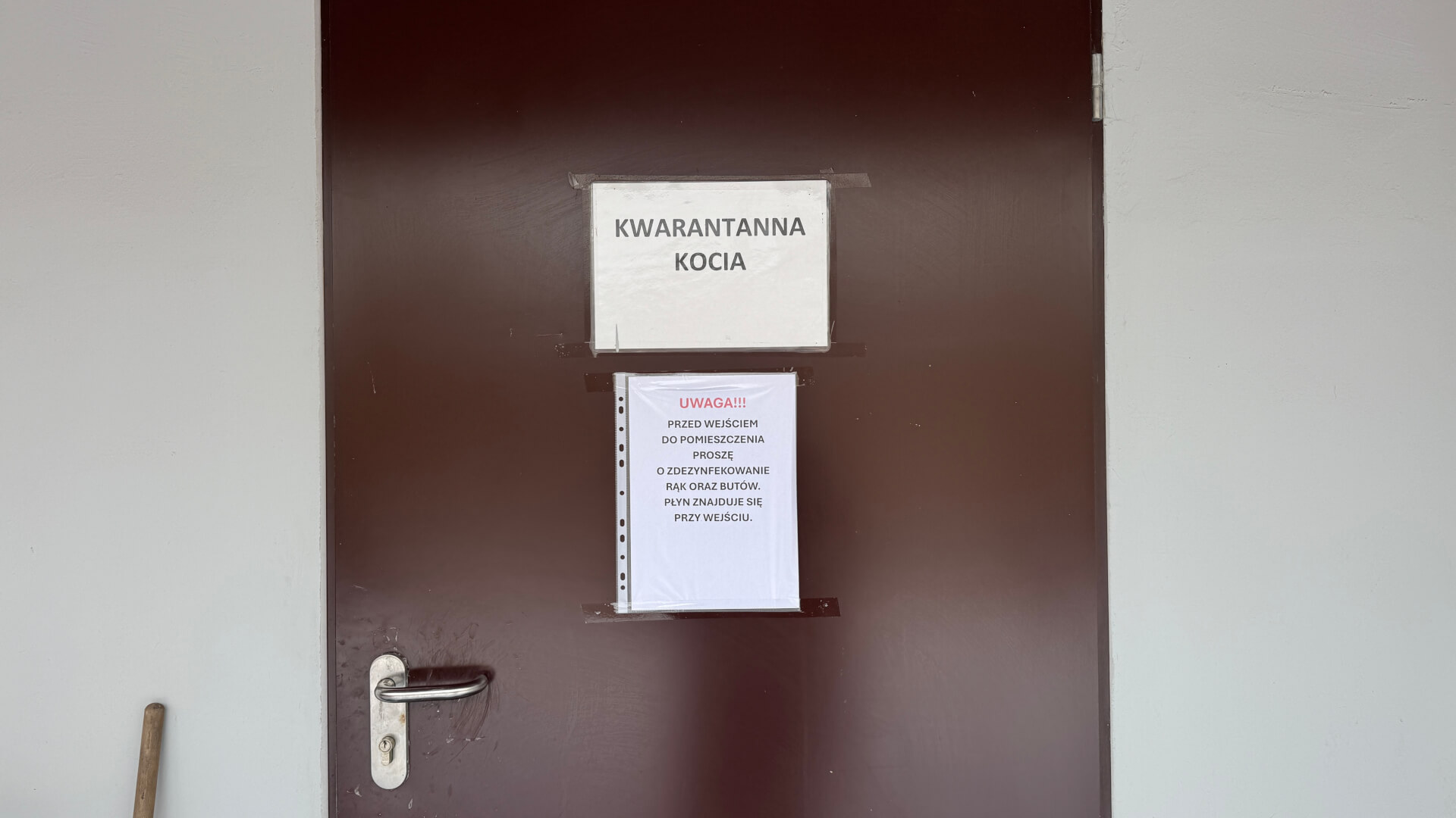 Schronisko dla zwierząt w Bytomiu. 15 stycznia 2026