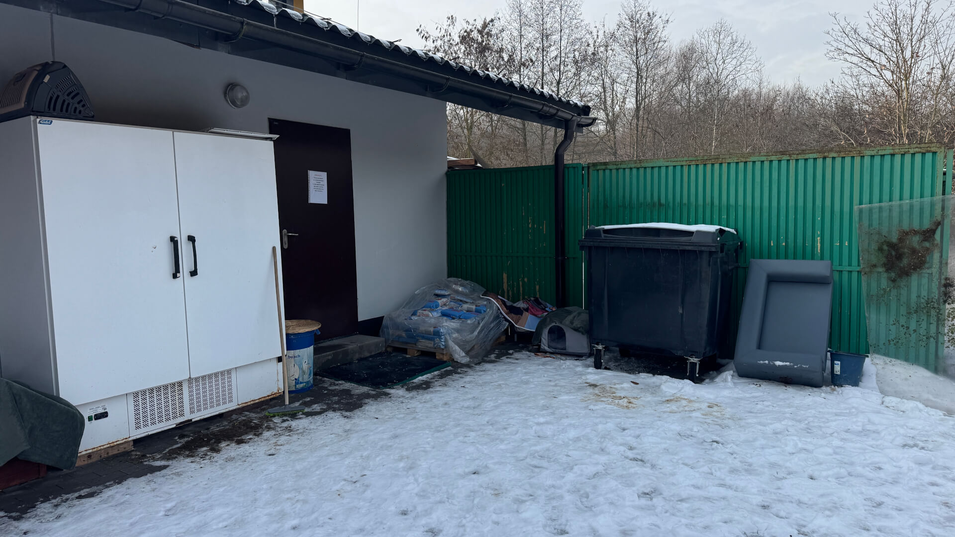 Schronisko dla zwierząt w Bytomiu. 15 stycznia 2026