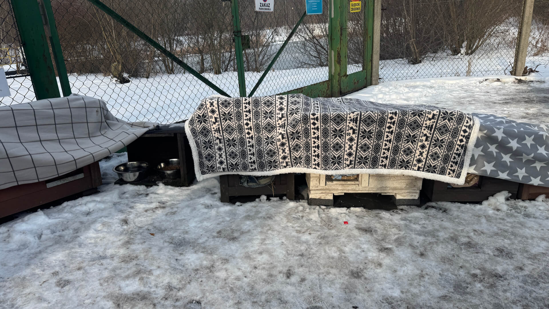 Schronisko dla zwierząt w Bytomiu. 15 stycznia 2026