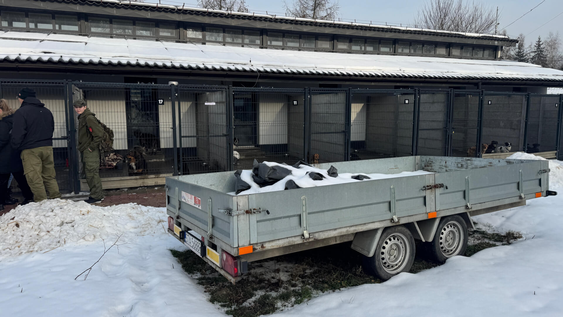 Schronisko dla zwierząt w Bytomiu. 15 stycznia 2026