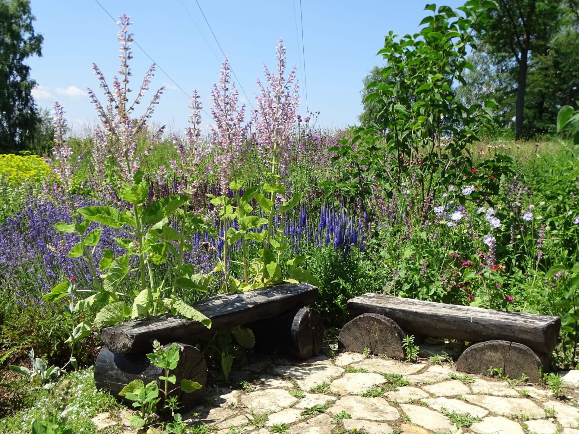 Śląski Ogród Botaniczny w Radzionkowie