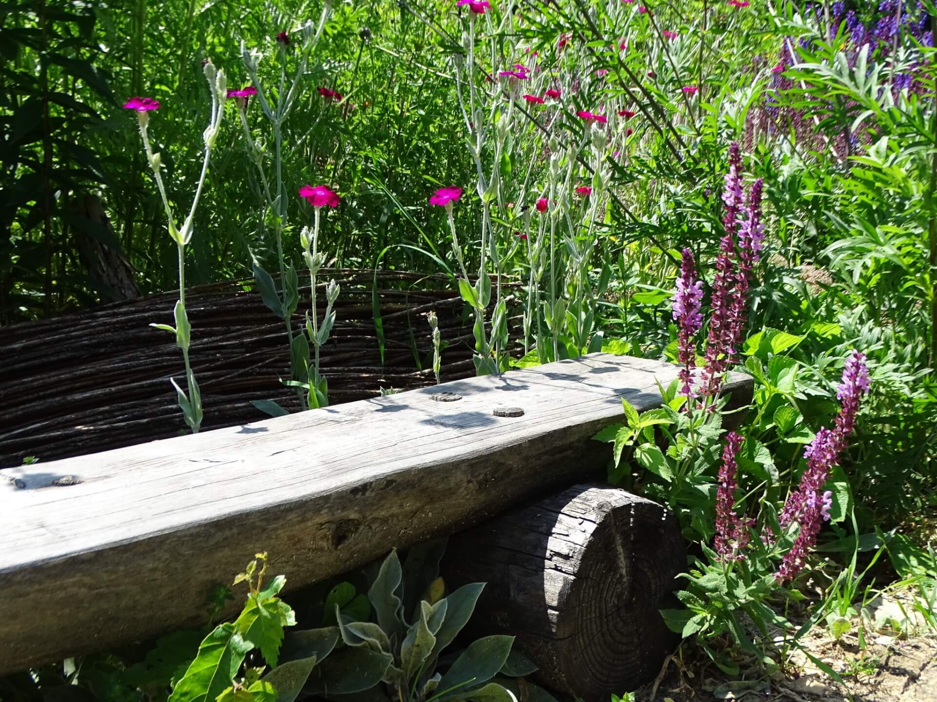 Śląski Ogród Botaniczny w Radzionkowie