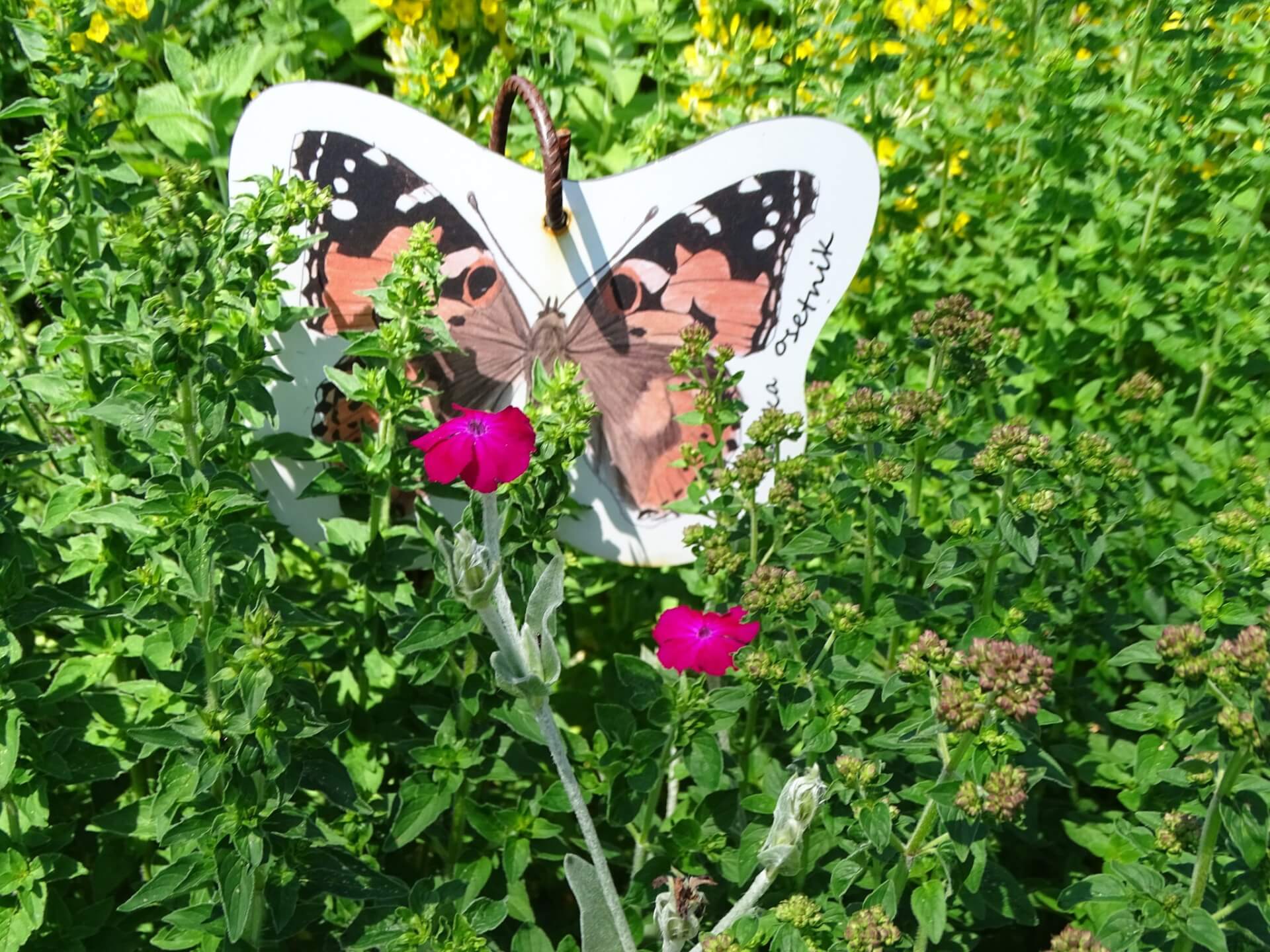 Slaski ogrod botaniczny radzionkow 20