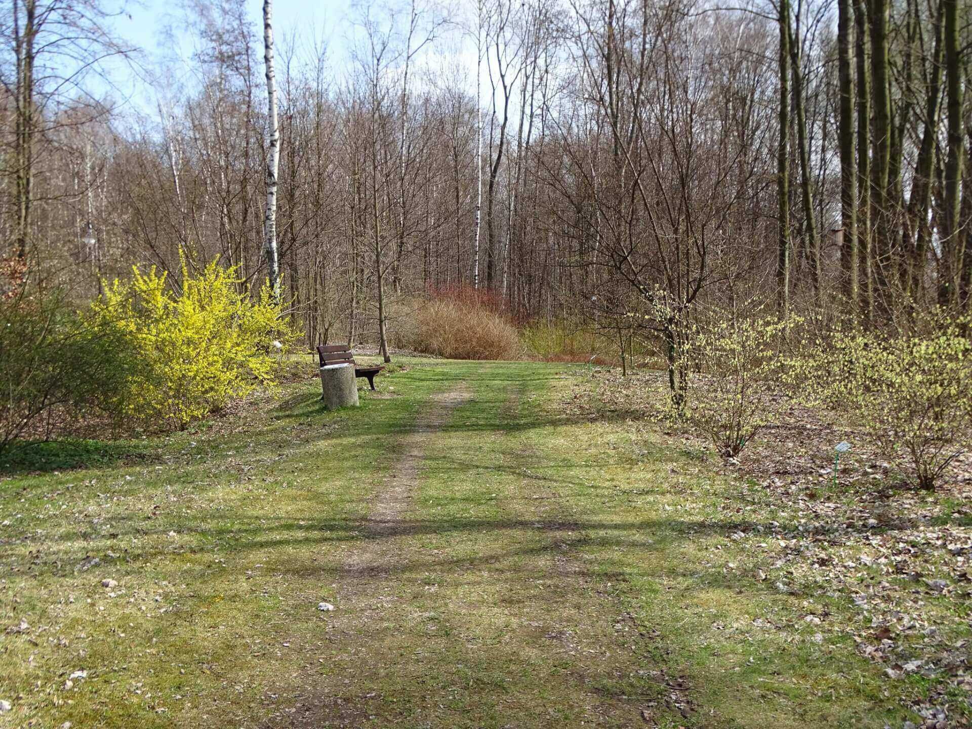 Slaski ogrod botaniczny radzionkow 24