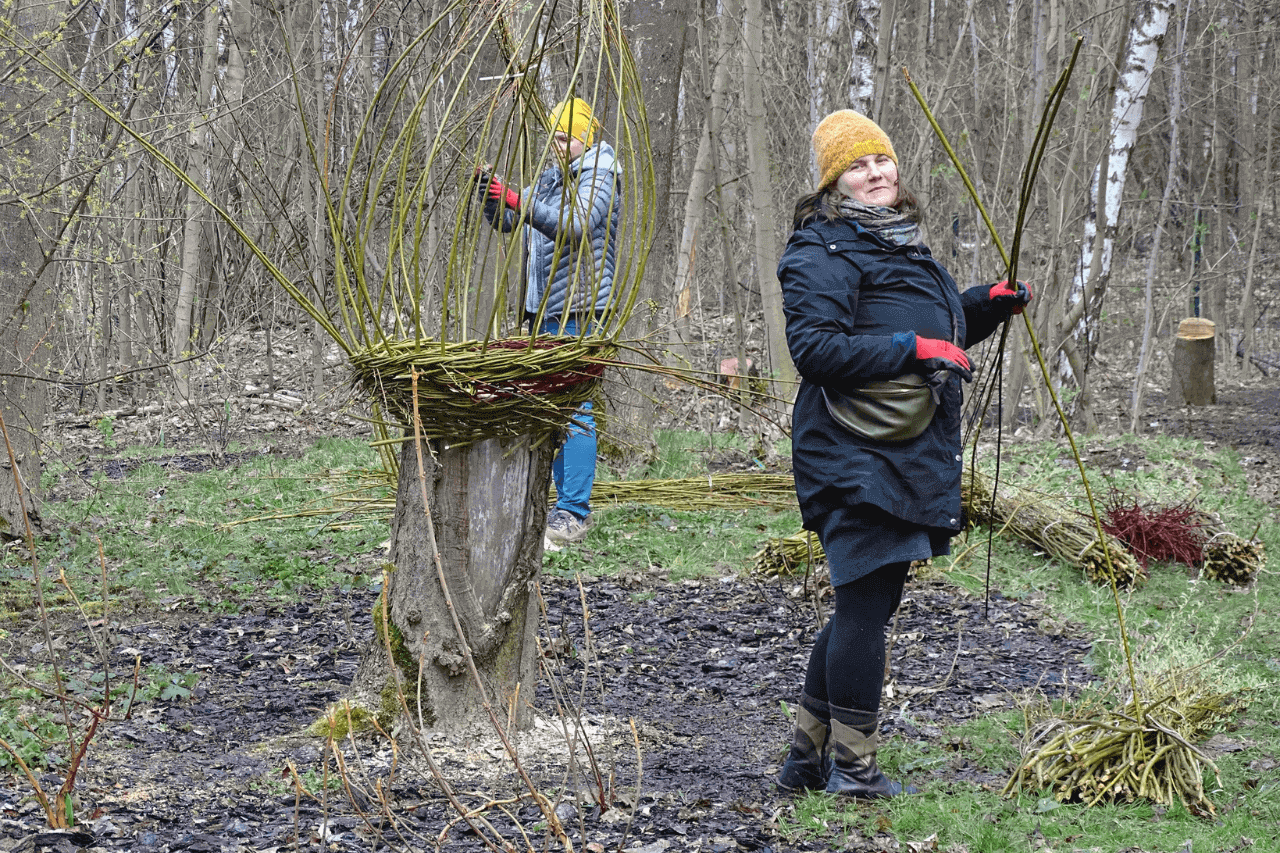 Śląski Ogród Botaniczny na wiosnę 2024