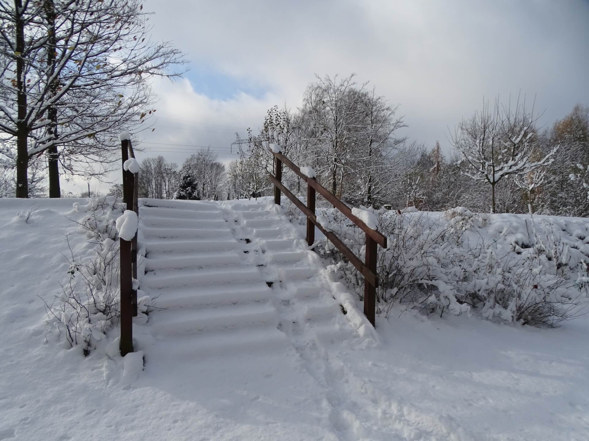 Śląski Ogród Botaniczny