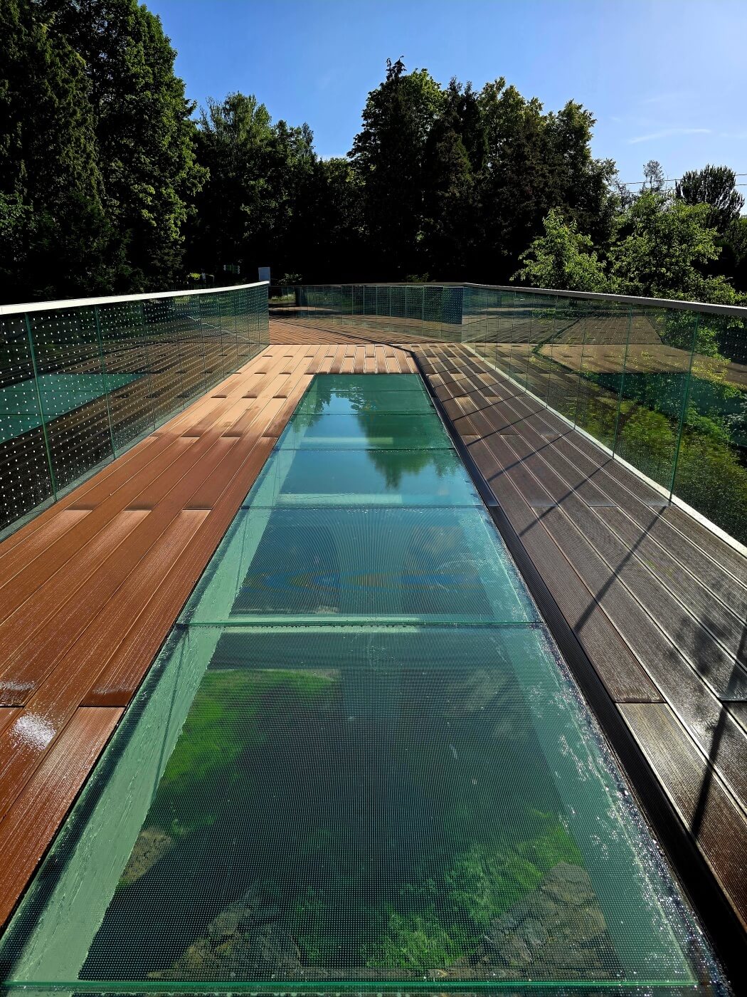 Slaskie zoo kladka dolina dinozaurow 4
