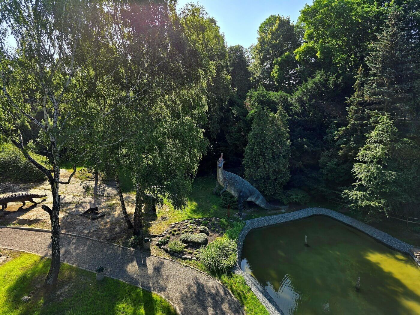 Slaskie zoo kladka dolina dinozaurow 5