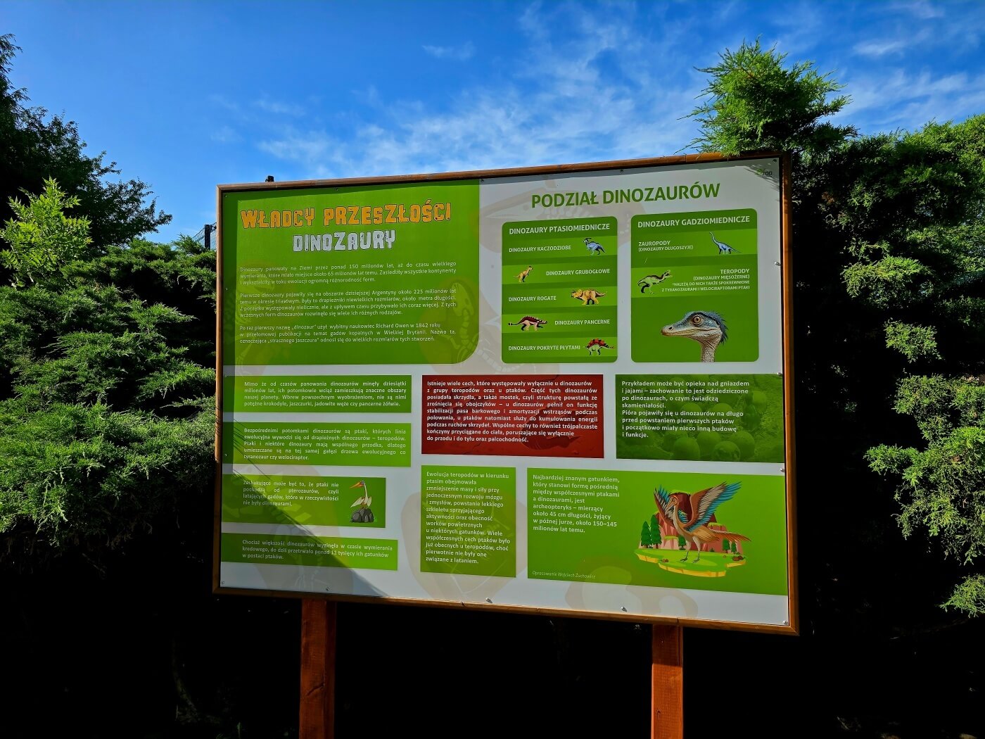Slaskie zoo kladka dolina dinozaurow 6