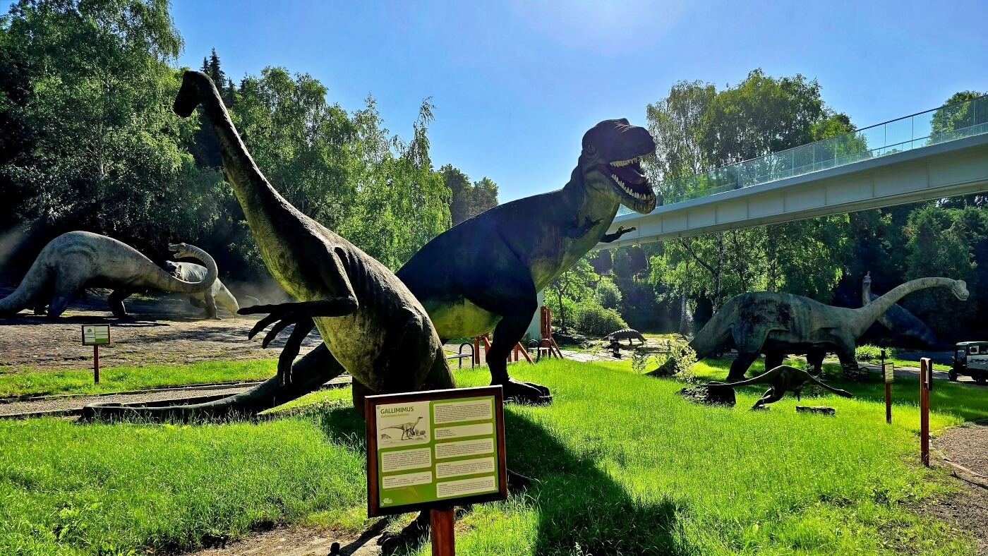 Nowa atrakcja w śląskim zoo. Kładka nad Kotliną Dinozaurów