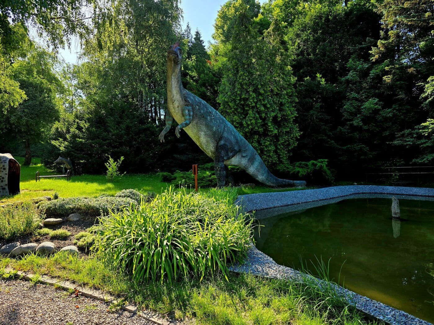 Slaskie zoo kladka dolina dinozaurow 8