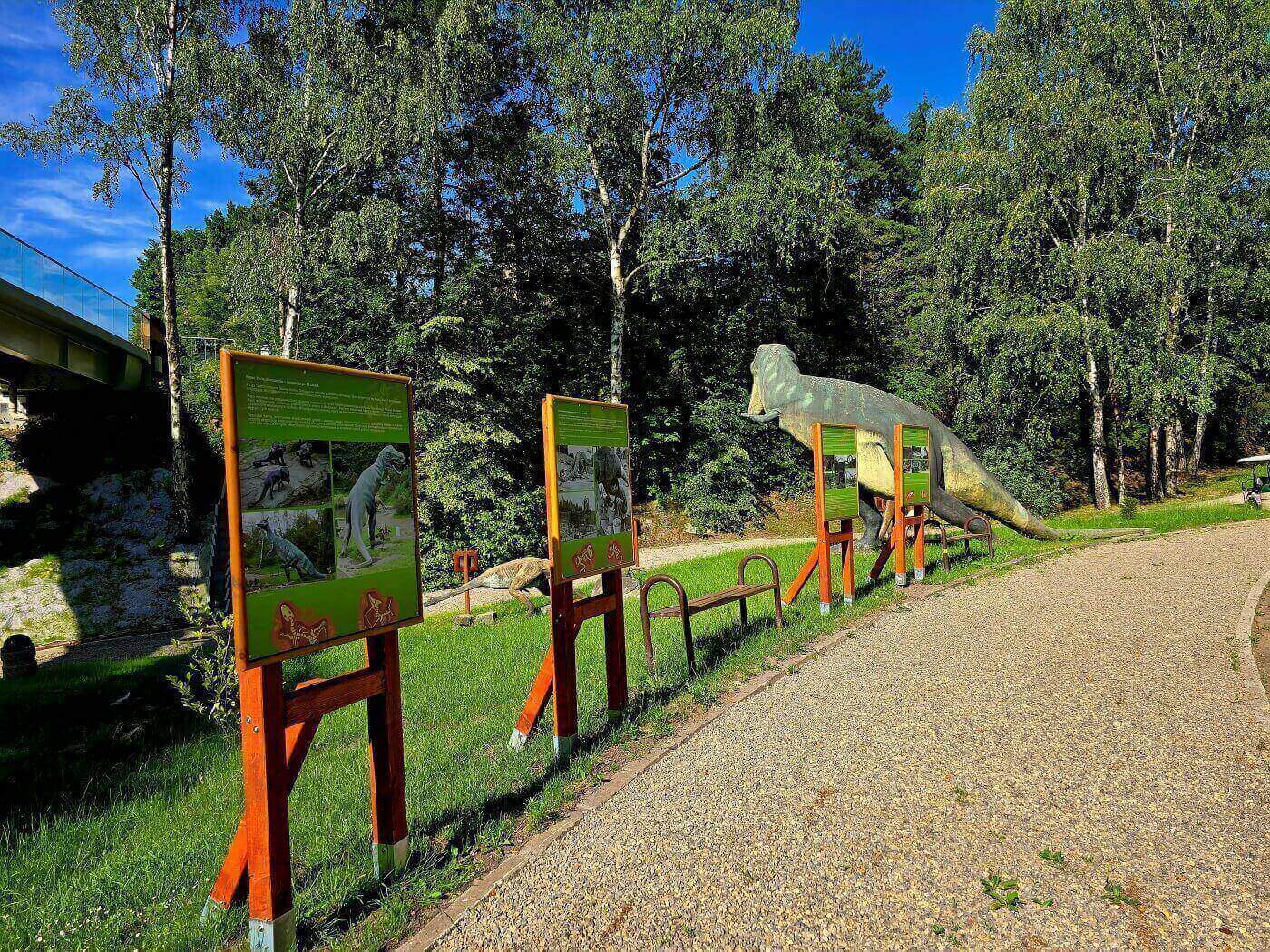 Slaskie zoo kladka dolina dinozaurow 9
