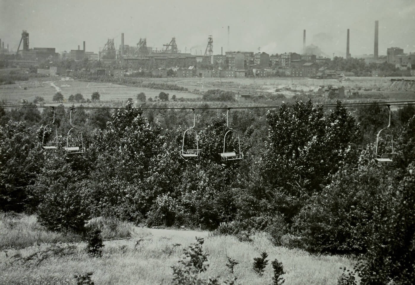 Stara elka park slaski 11