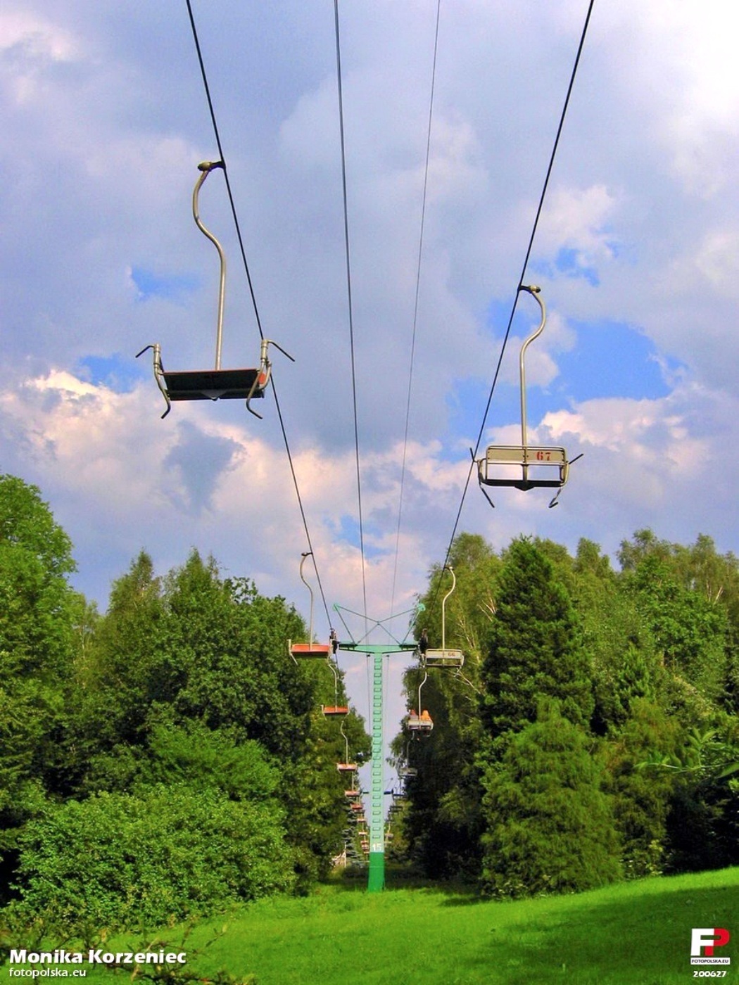 Stara elka park slaski 16