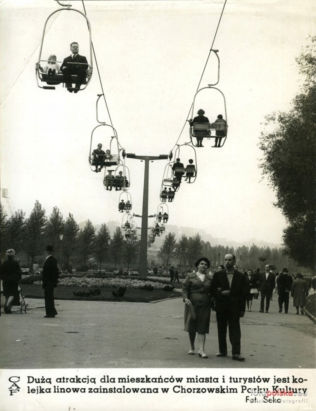 Stara elka park slaski 17