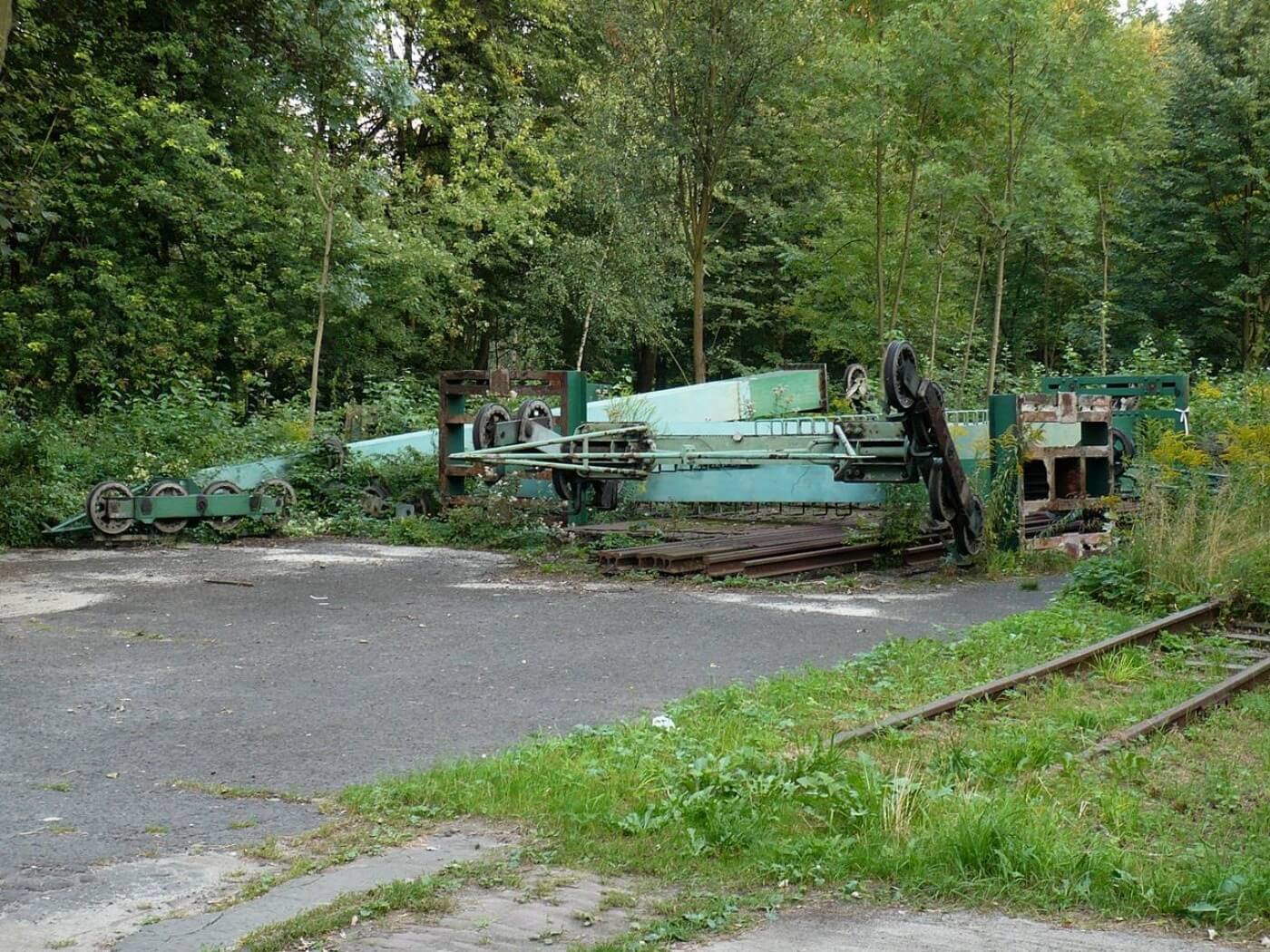 Stara elka park slaski 7