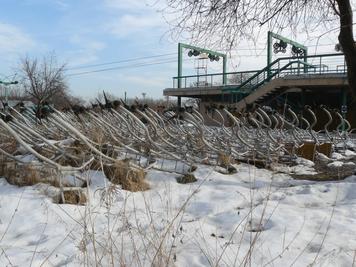 Stara elka park slaski 8