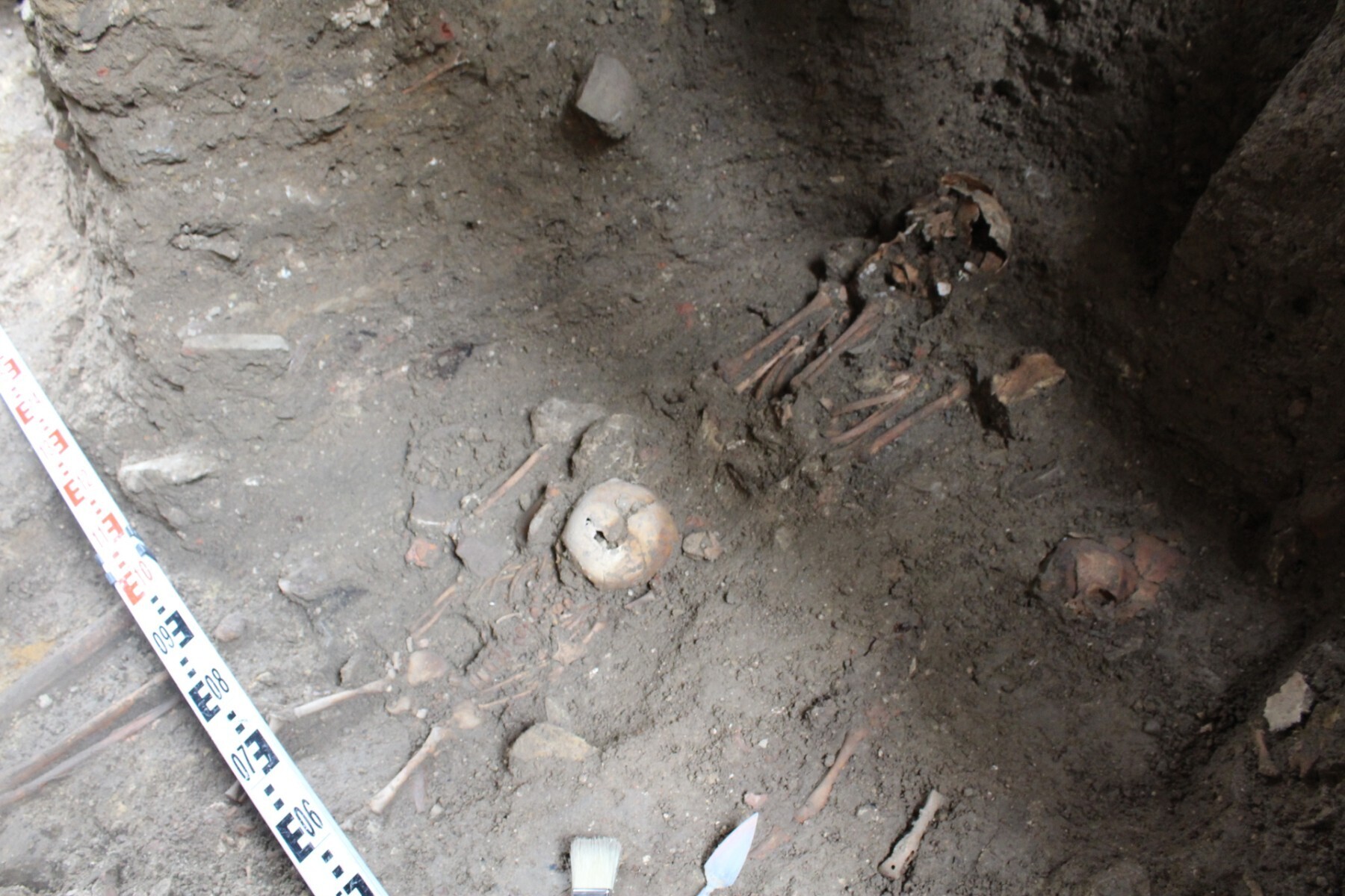 W kościele pw. św. Wojciecha archeolodzy odkryli groby dziecięce ze średniowiecza