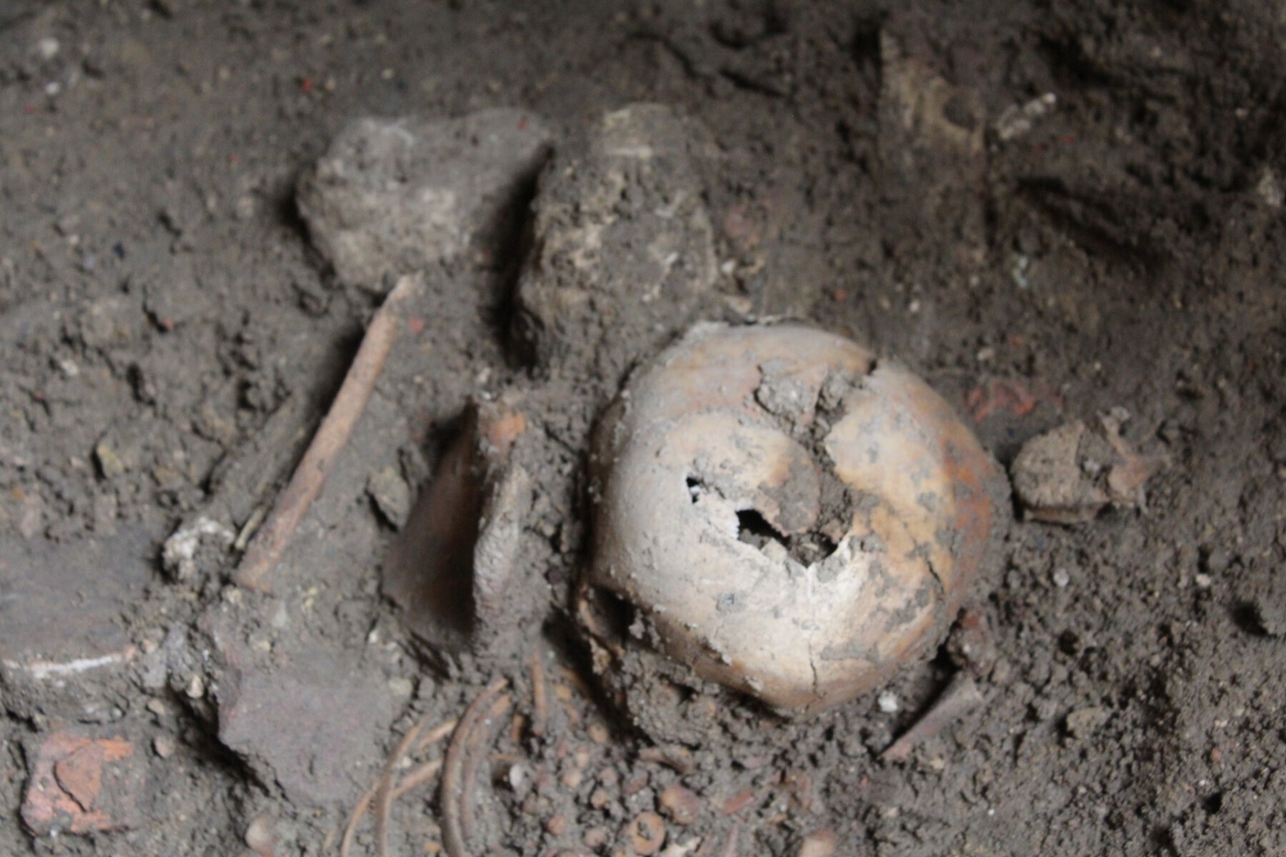 W kościele pw. św. Wojciecha archeolodzy odkryli groby dziecięce ze średniowiecza