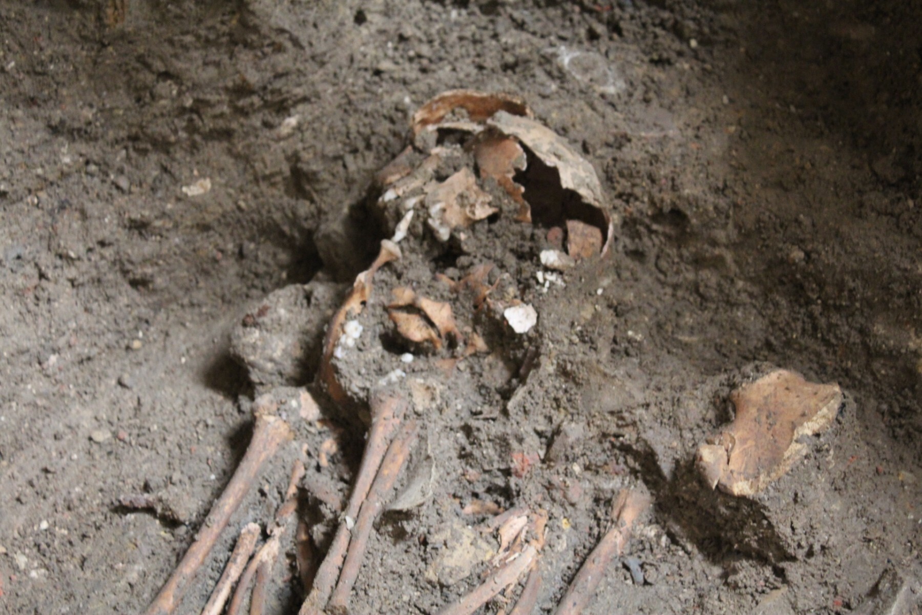 W kościele pw. św. Wojciecha archeolodzy odkryli groby dziecięce ze średniowiecza
