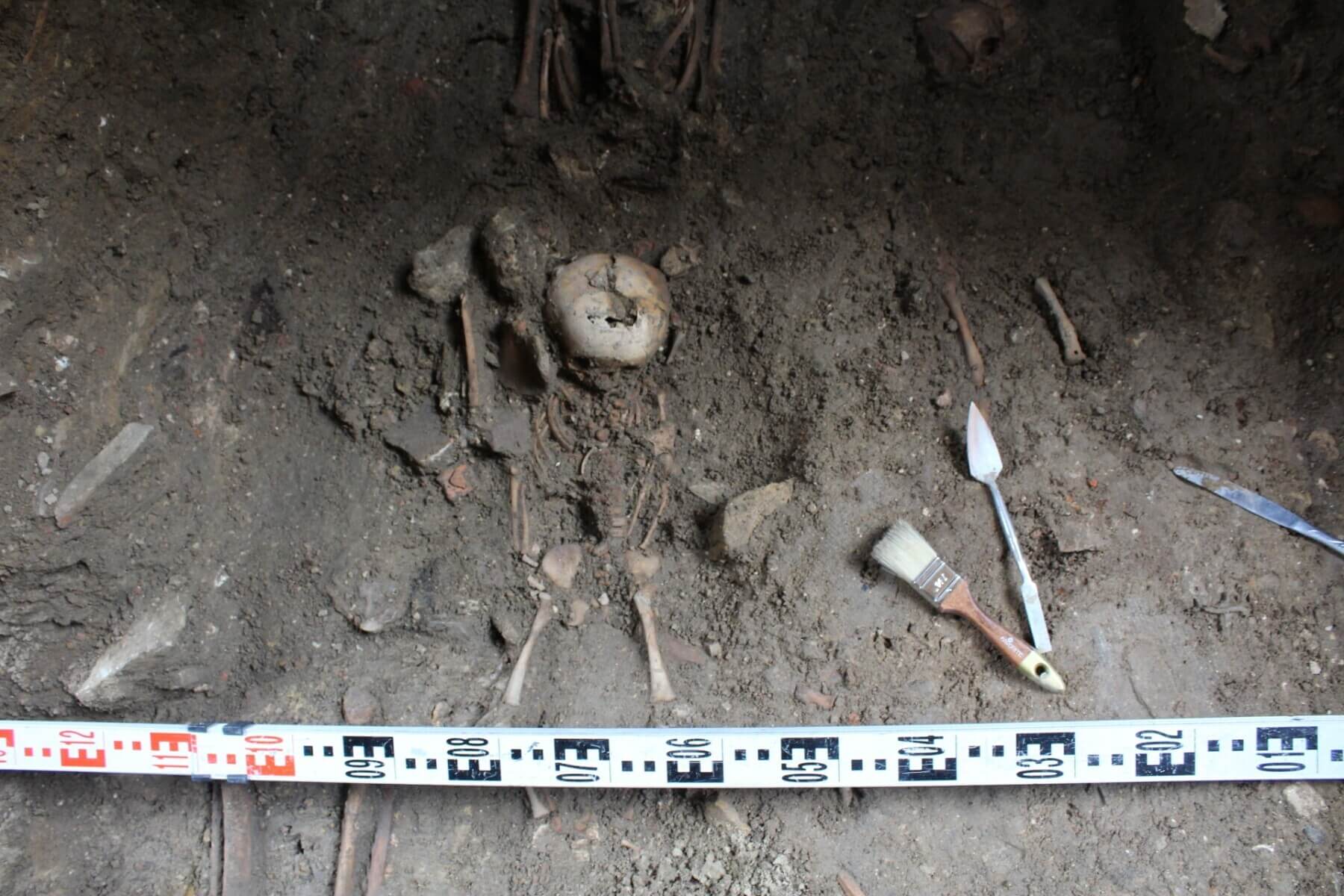 W kościele pw. św. Wojciecha archeolodzy odkryli groby dziecięce ze średniowiecza