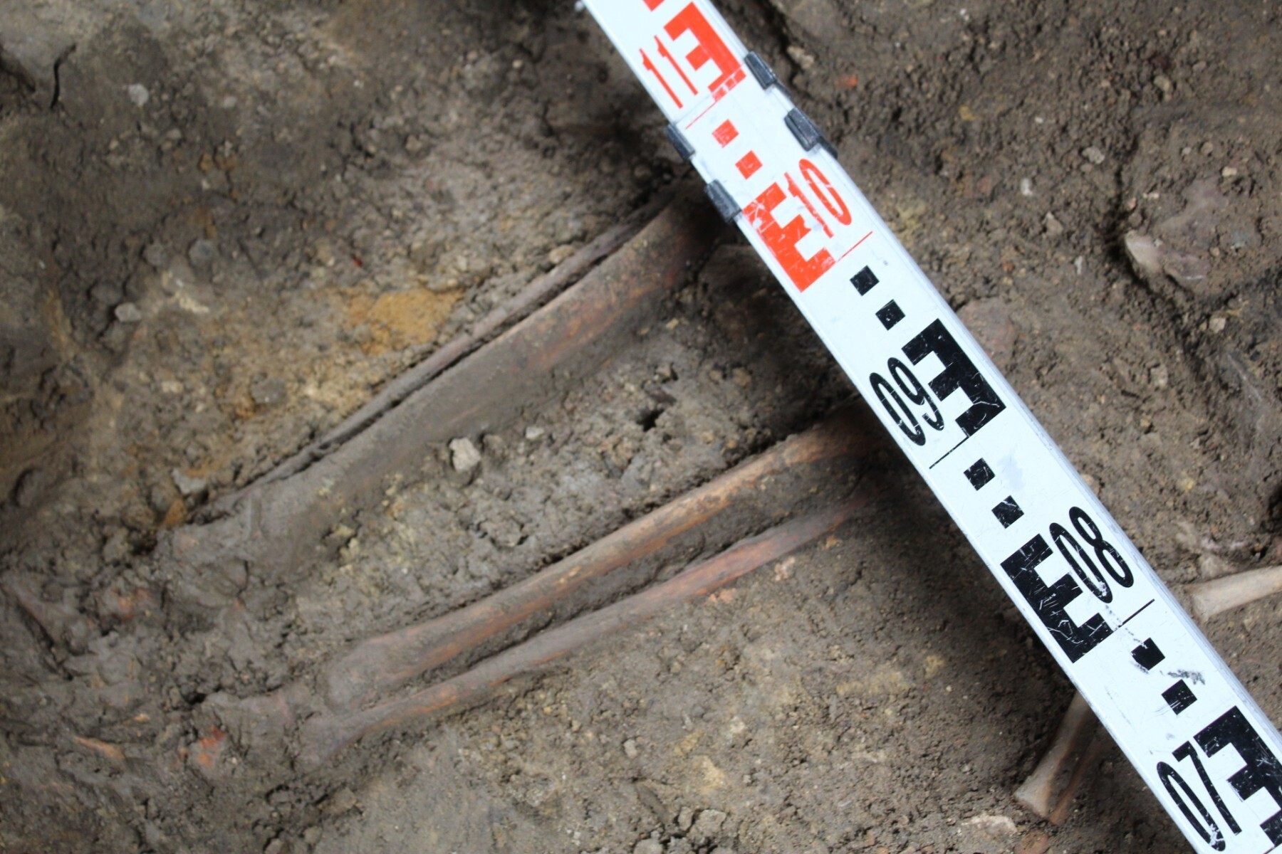 W kościele pw. św. Wojciecha archeolodzy odkryli groby dziecięce ze średniowiecza