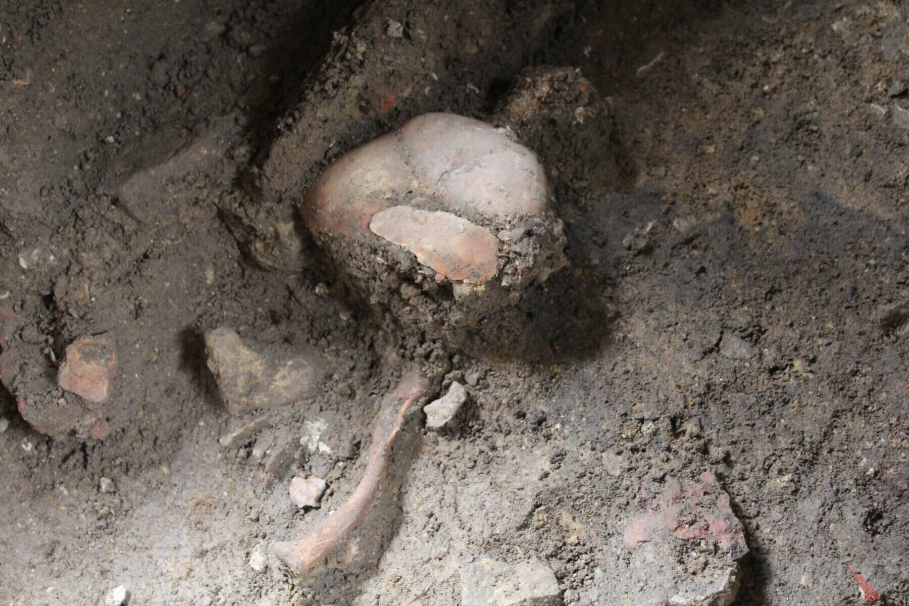 W kościele pw. św. Wojciecha archeolodzy odkryli groby dziecięce ze średniowiecza