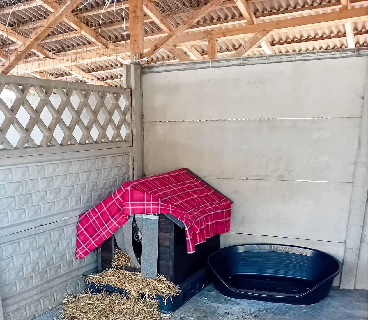 Azyl dla zwierząt "Cichy Kąt"