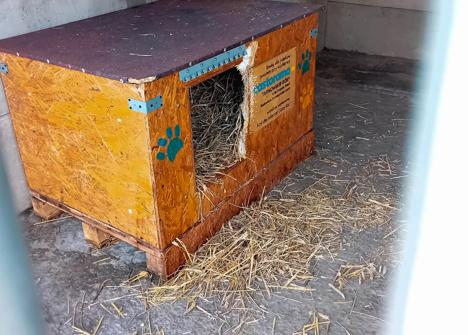 Azyl dla zwierząt "Cichy Kąt"