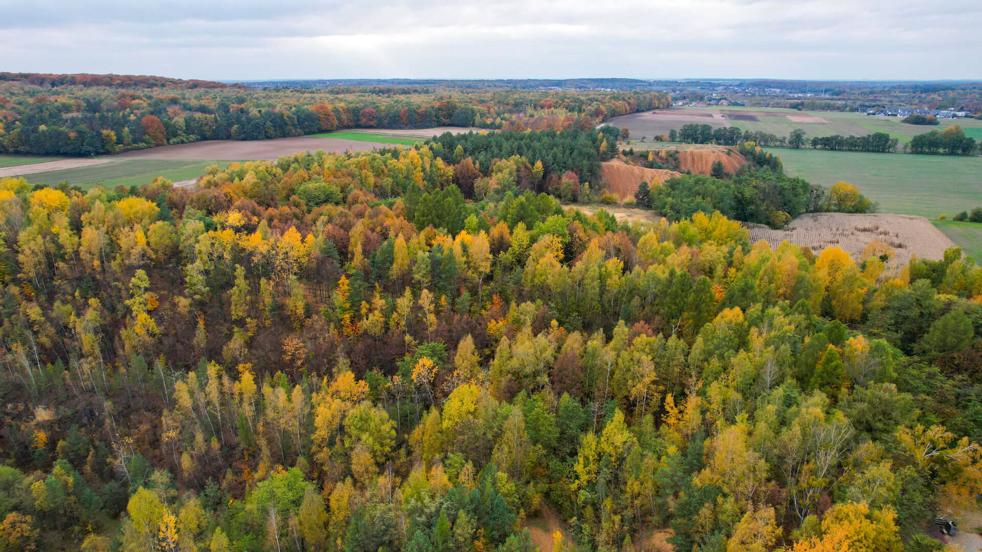 Tarnowskie gory bytom halda popluczkowa 12
