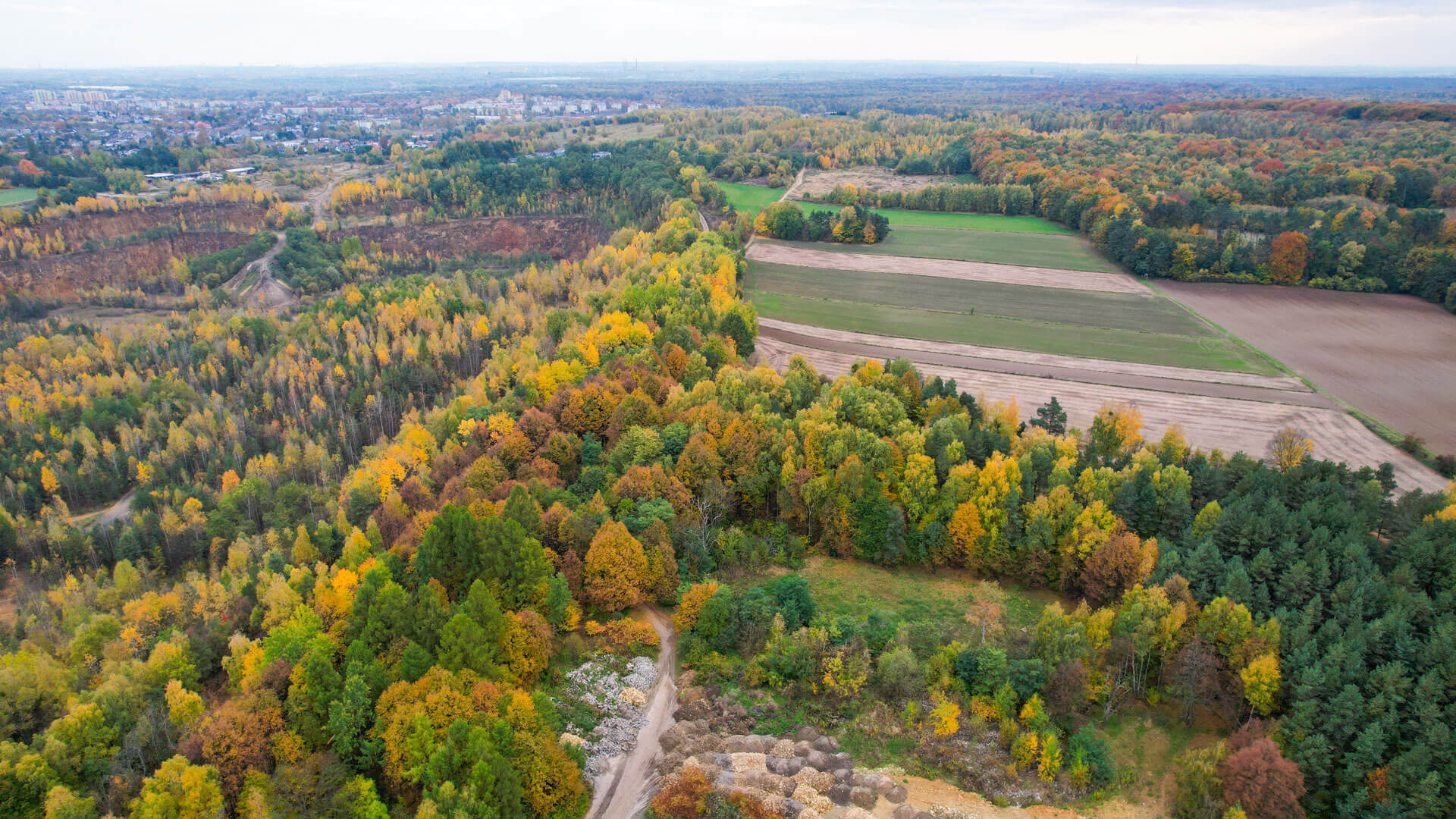 Tarnowskie gory bytom halda popluczkowa 24