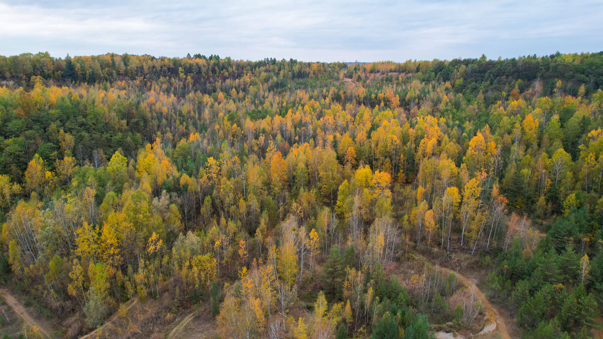 Tarnowskie gory bytom halda popluczkowa 4