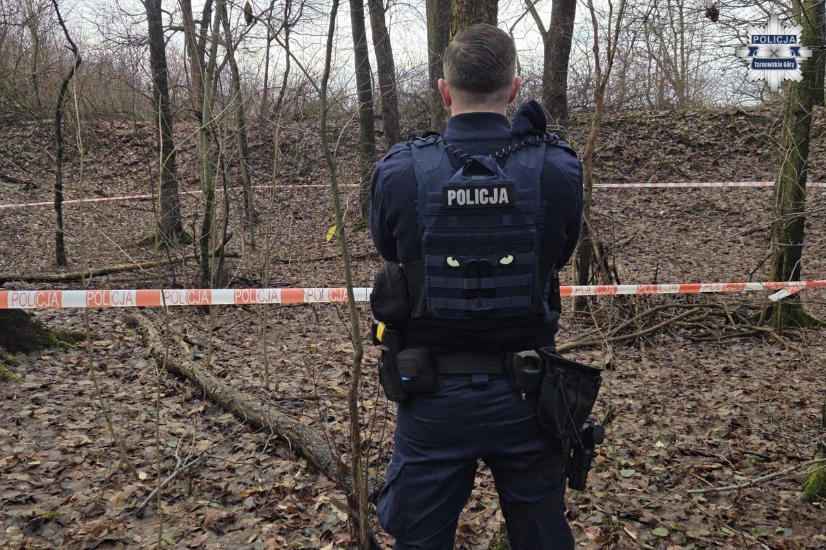 Niewybuch w Parku Piny