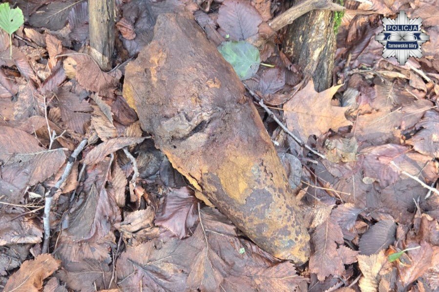 Niewybuch w Parku Piny