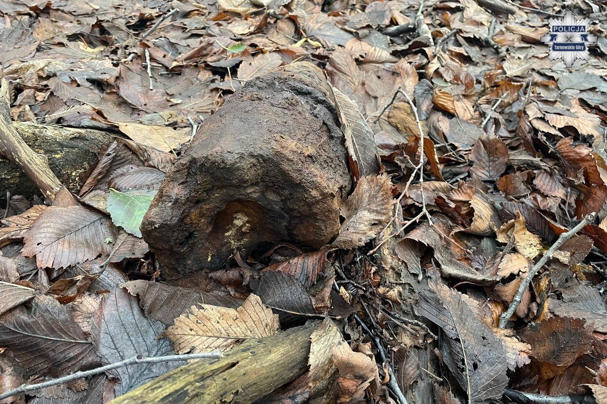 Niewybuch w Parku Piny