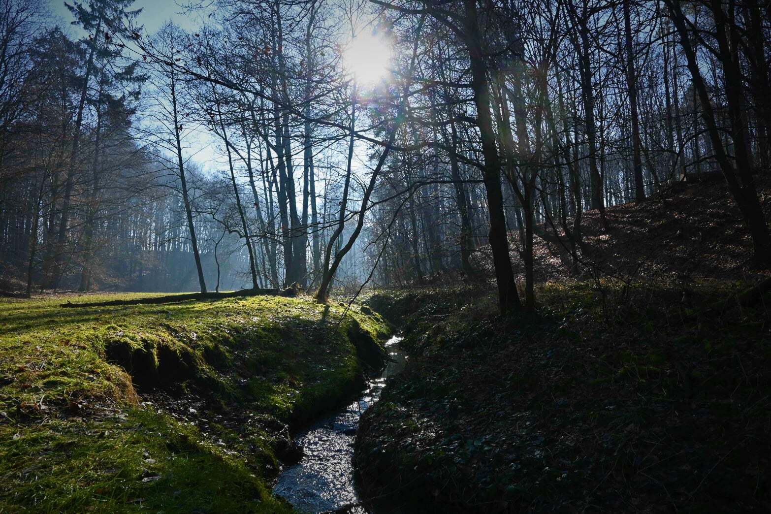Tarnowskie gory park repecki dolina dramy
