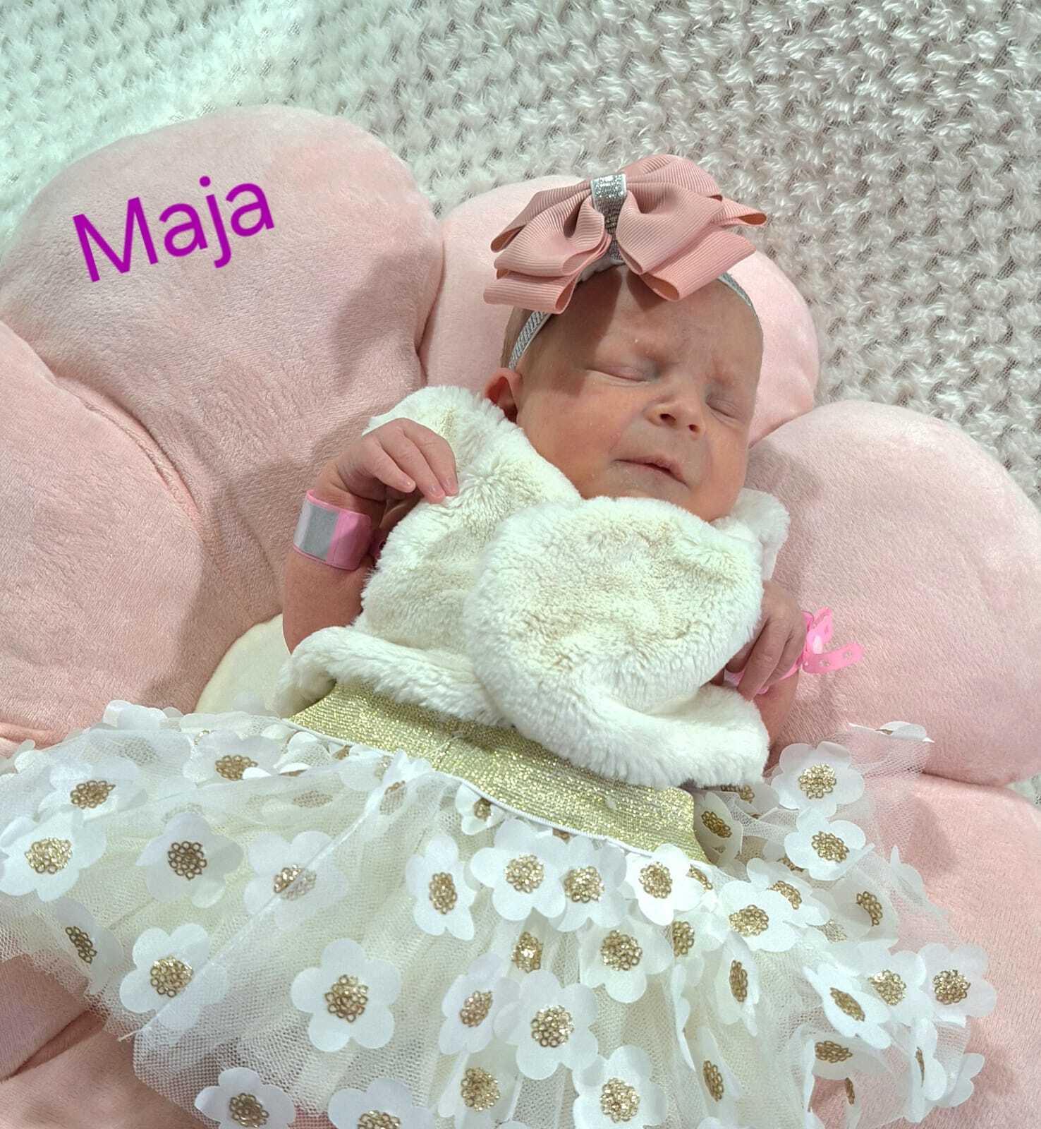 Maja