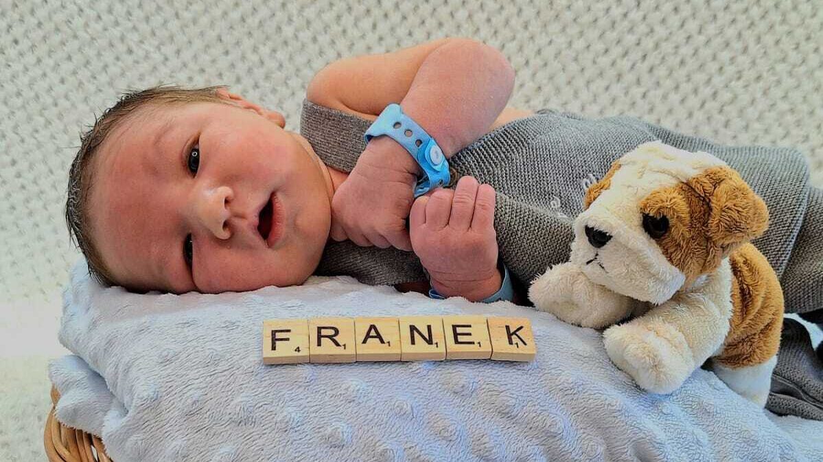 Franek