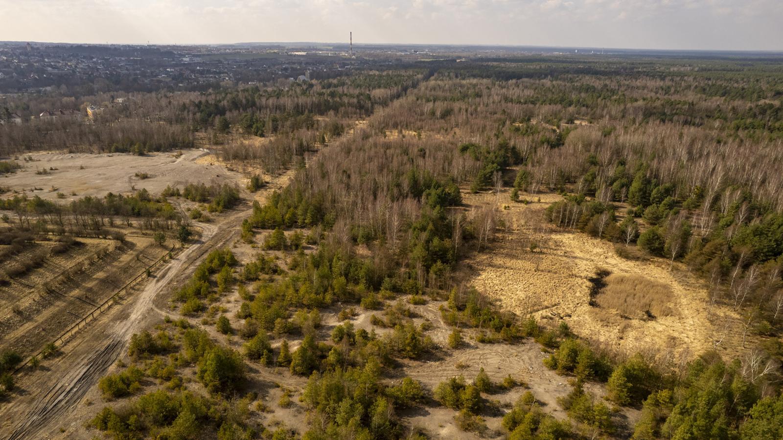 Tg zaklady chemiczne 12 Copy