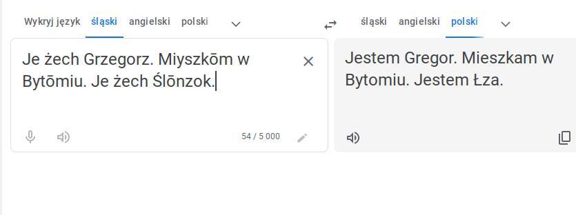 Tlumacz google jezyk slaski 01