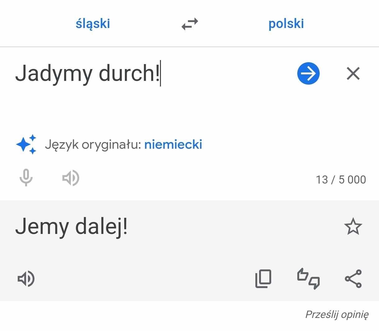 Tlumacz google jezyk slaski 03