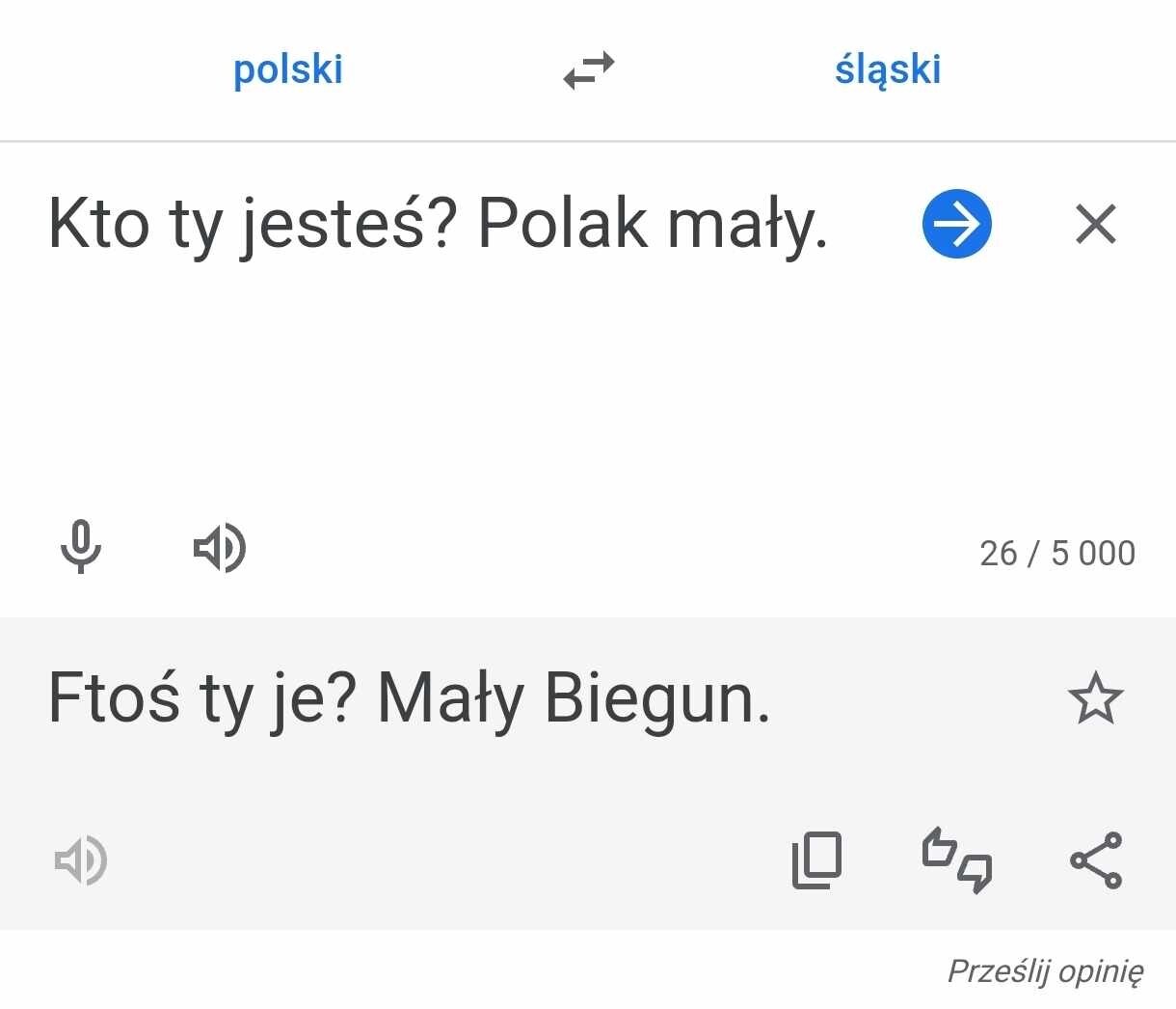 Tlumacz google jezyk slaski 05