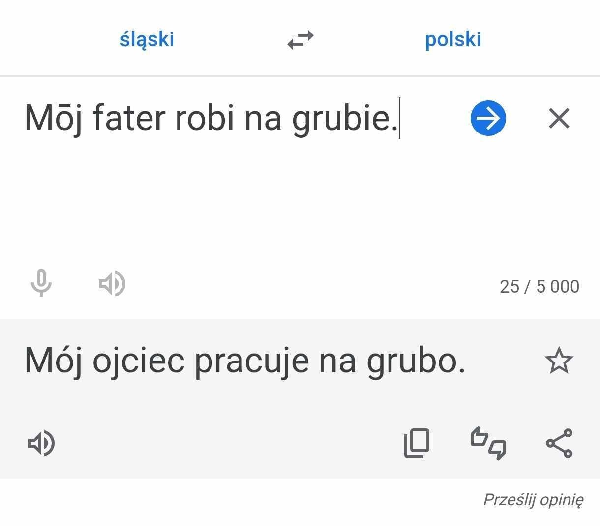 Tlumacz google jezyk slaski 07