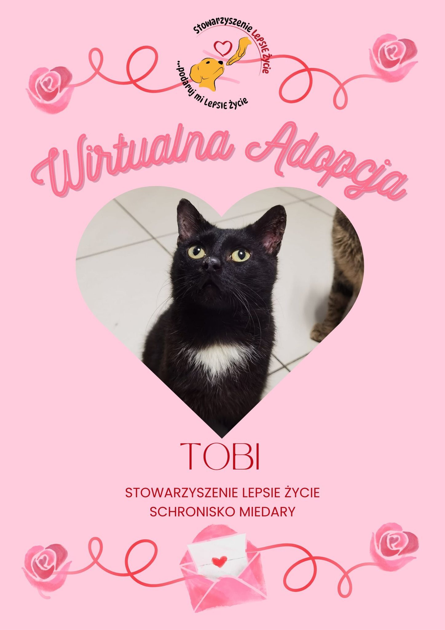Walentynkowa edycja wirtualnej adopcji w Miedarach