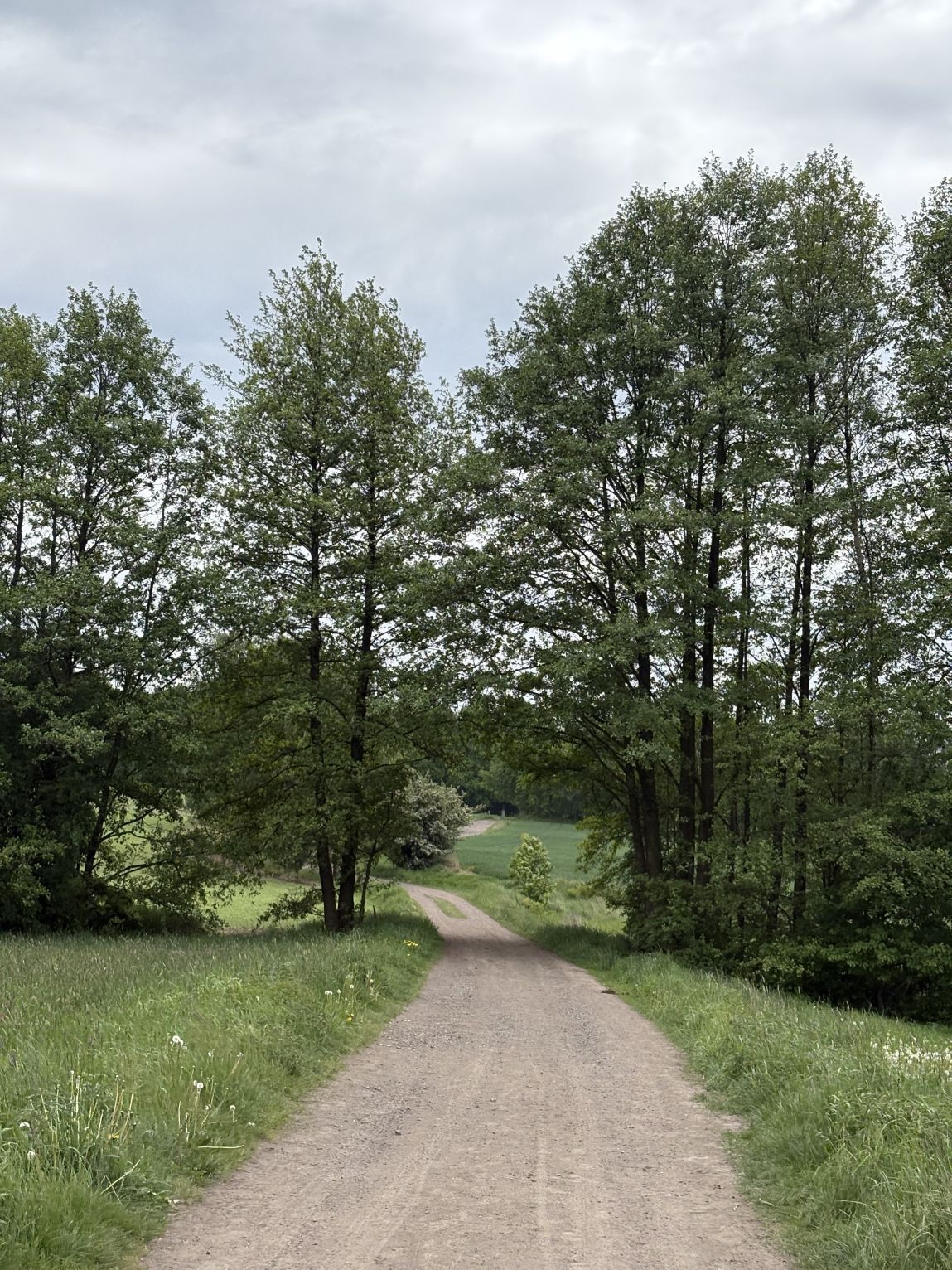 Wierzysko, Łaziska Górne