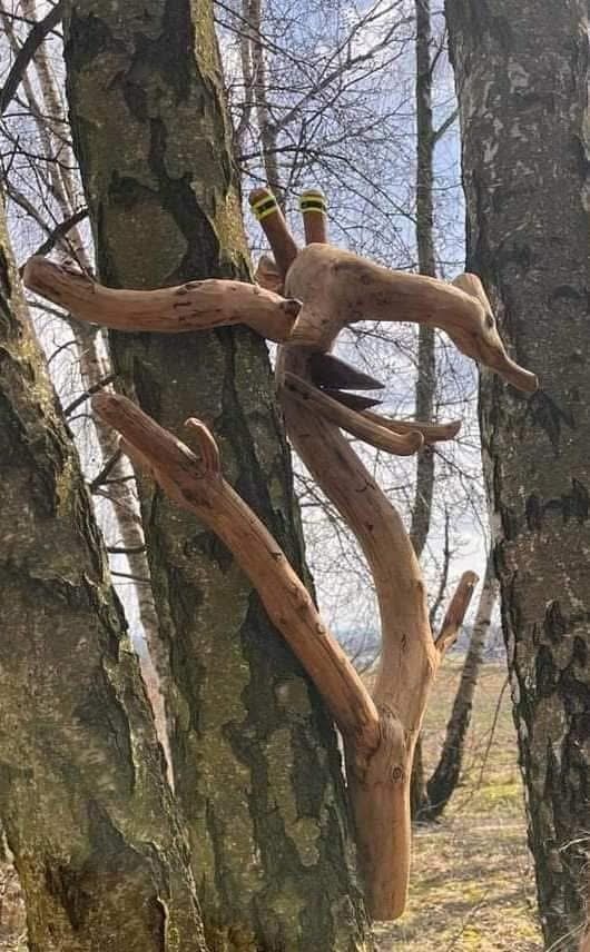 Stworki zamieszkujące Wierzysko