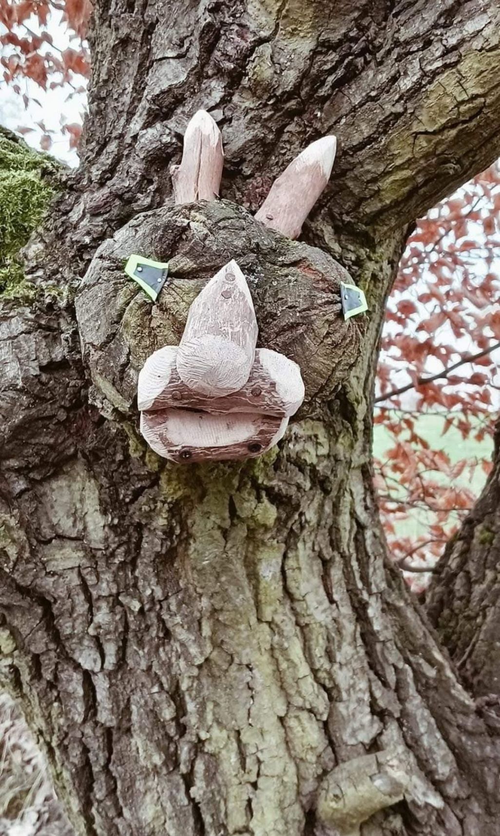 Stworki zamieszkujące Wierzysko