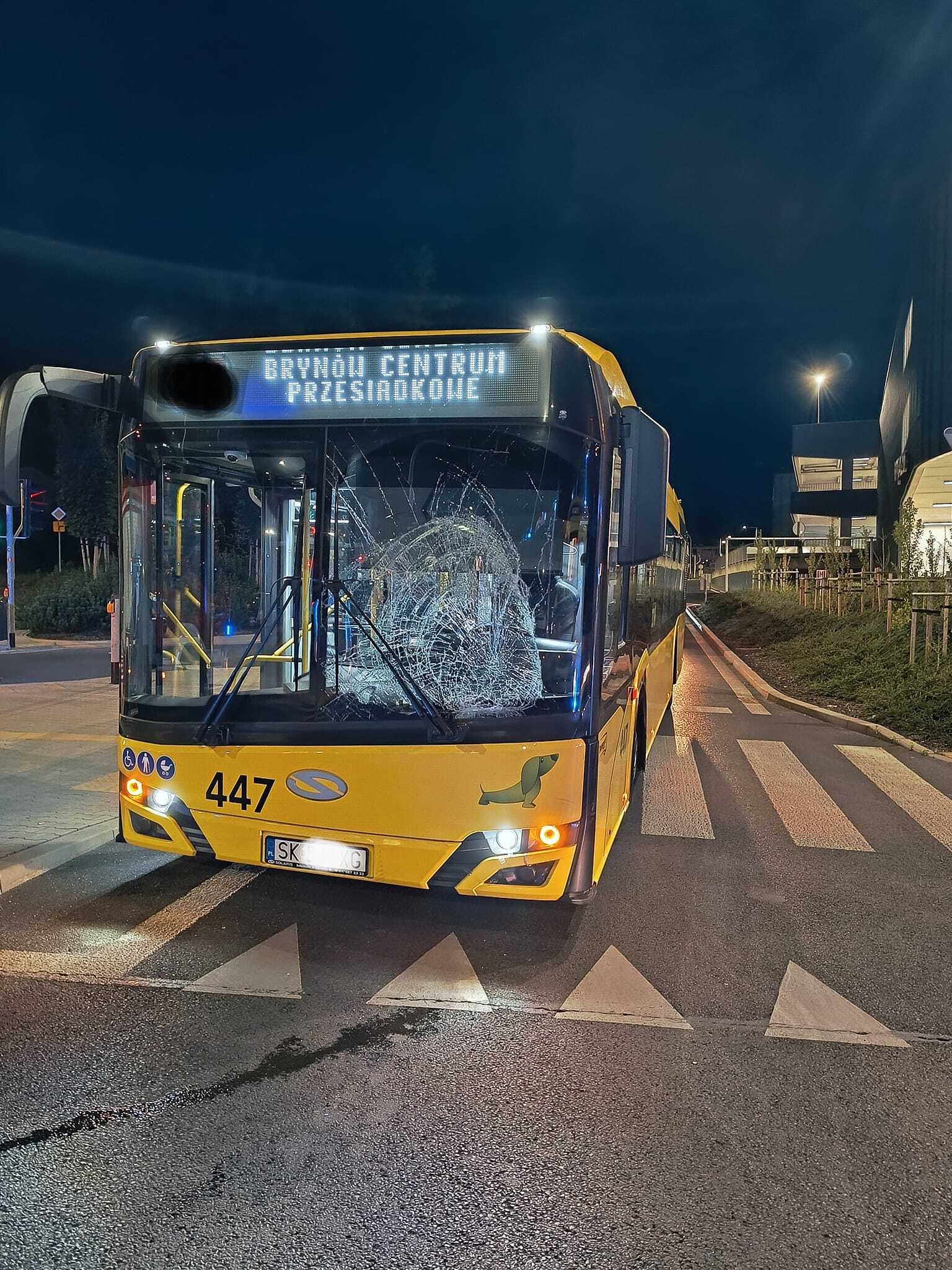 Wypadek rower autobus kosciuszki rzepakowa katowice 01