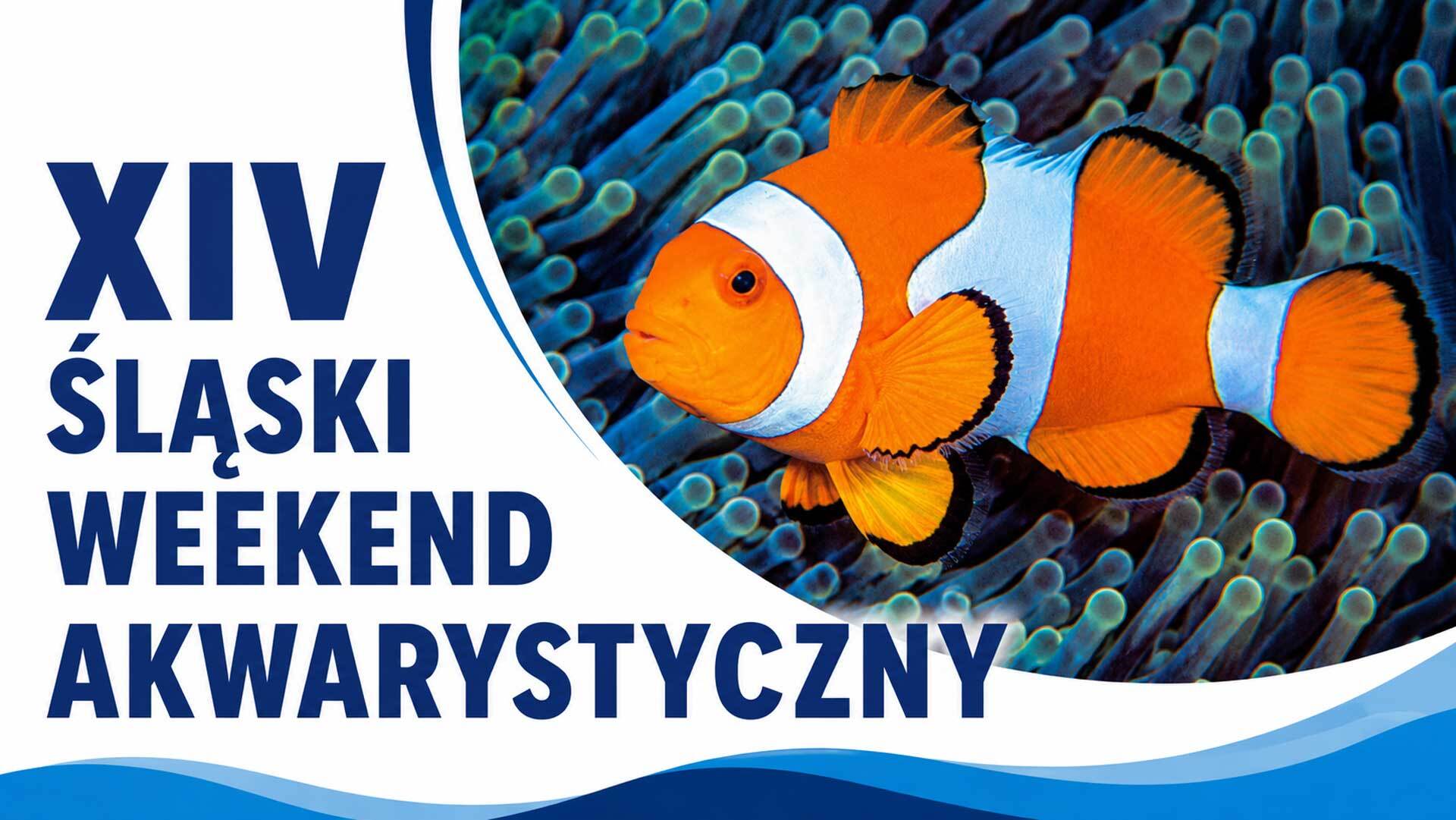 Krewetki, tanganickie ryby i wyprawa nad wodę w Kolumbii. Weekend akwarystów w Zabrzu